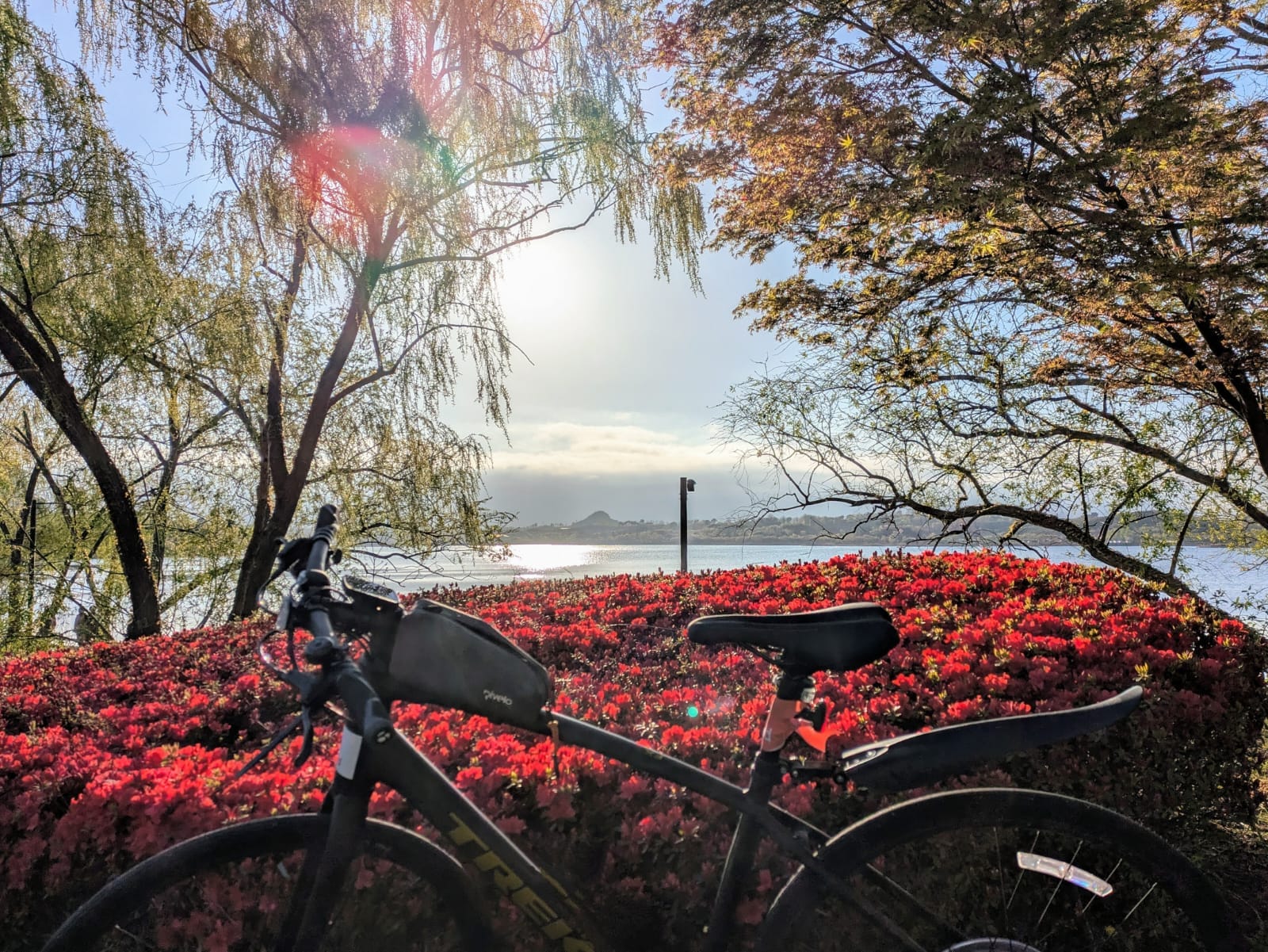 Gyeongju Bomun Lake Loop