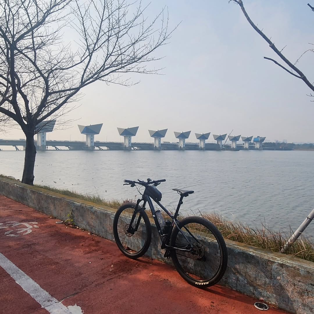 Busan Nakdonggang Path