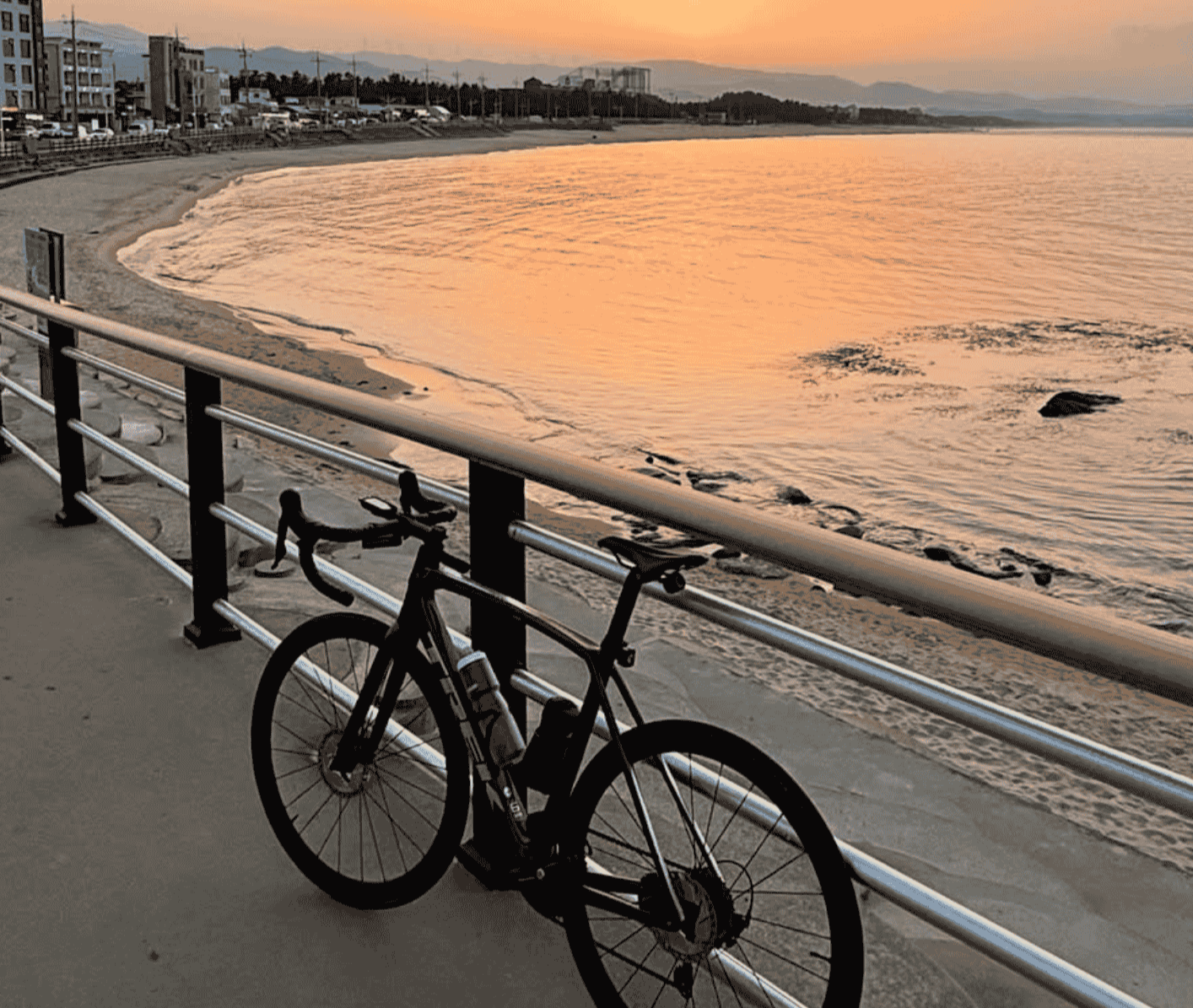 8 Birds Tours - Bike Tours