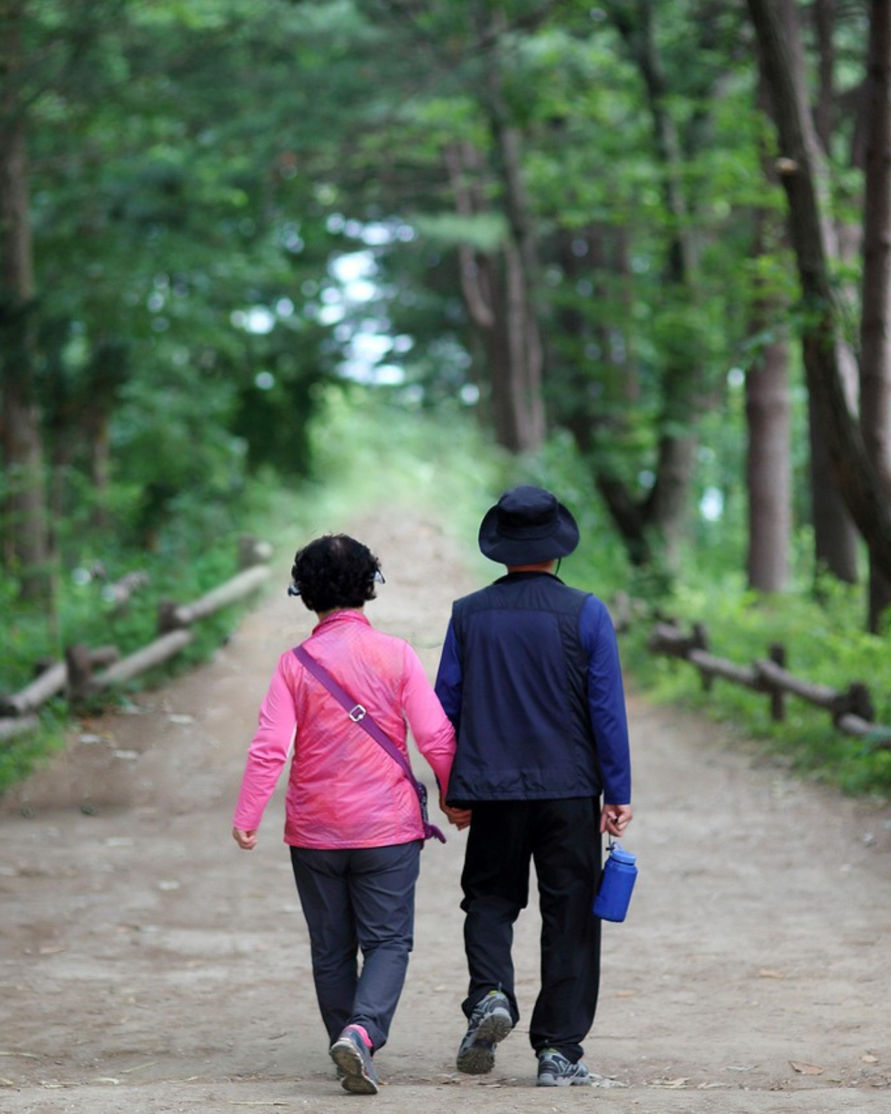 Nami Island Wonders & Morning Calm Magic