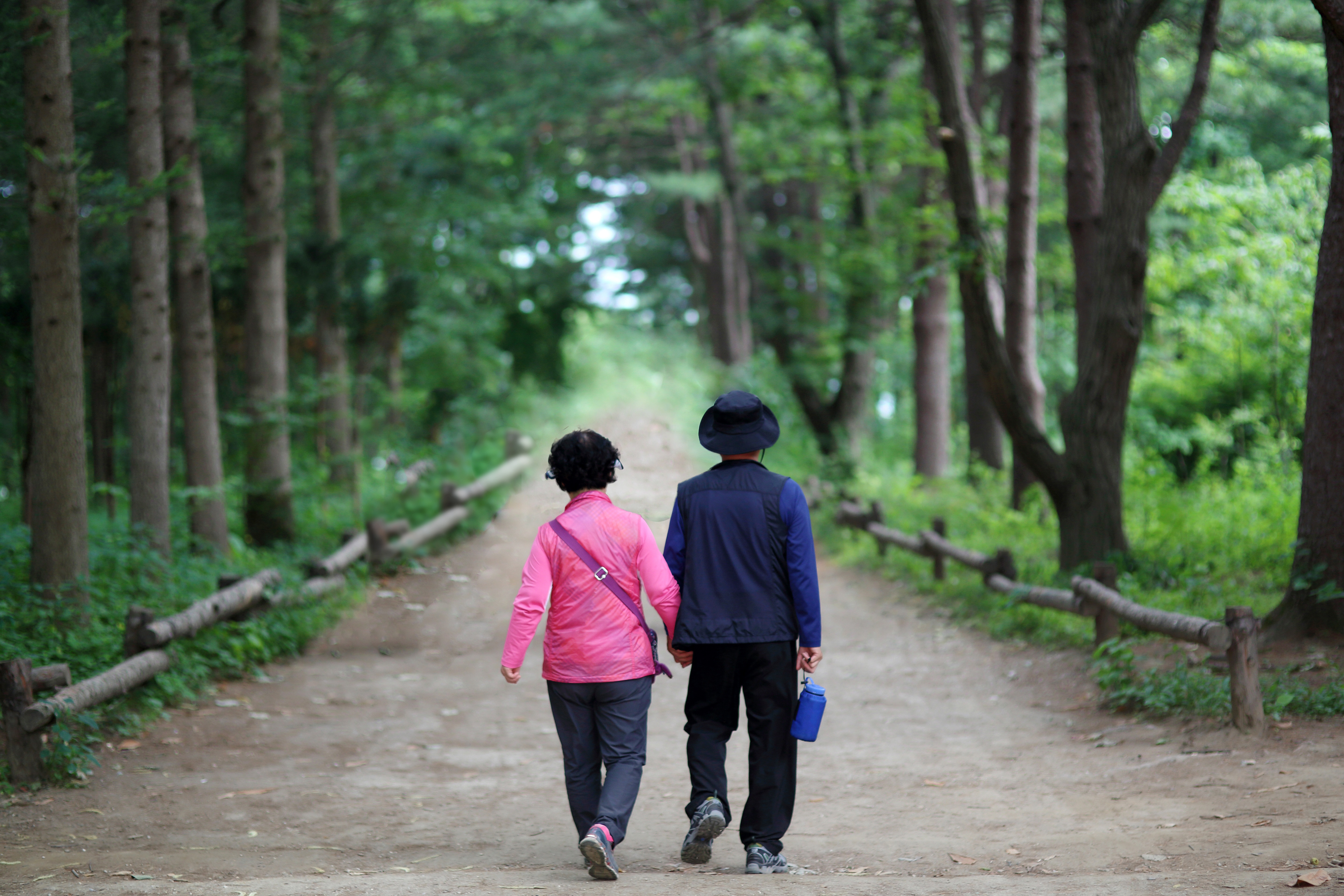 Nami Island View 4