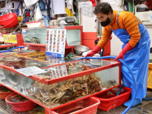 Seafood vendor at Jagalchi Fish Market, Busan